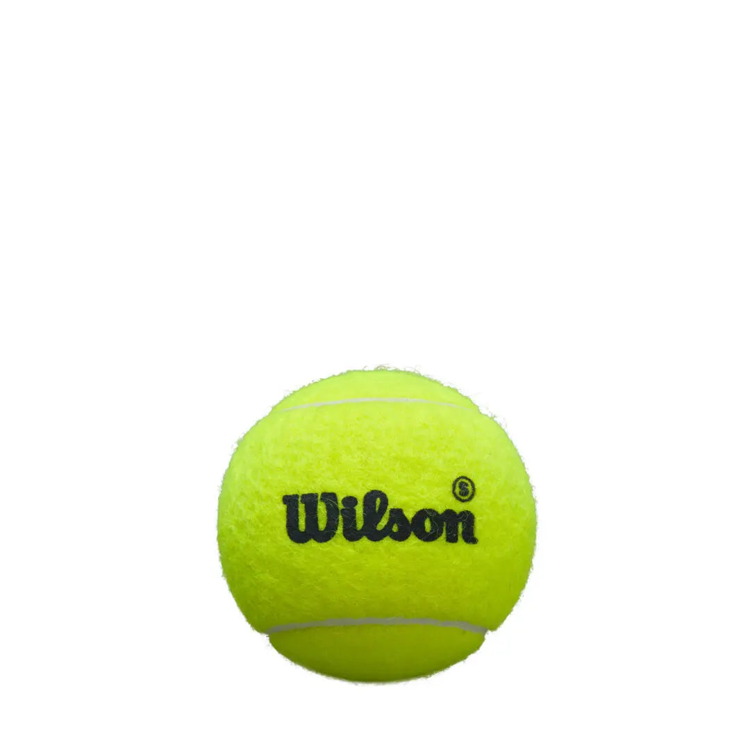 Wilson Premier Padel Speed Ball Tin (Sea Level)